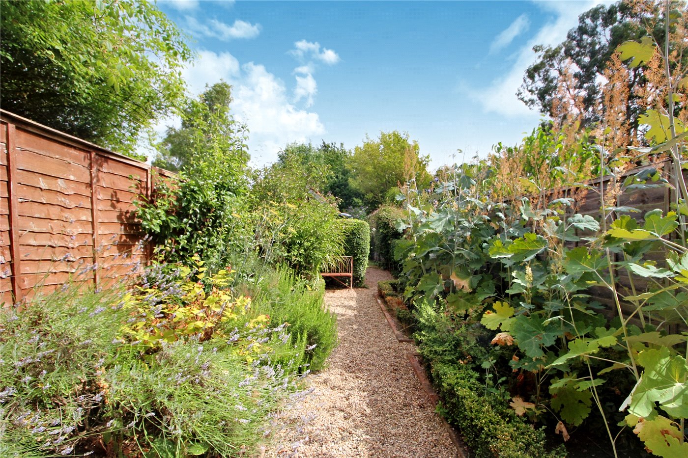 Garden